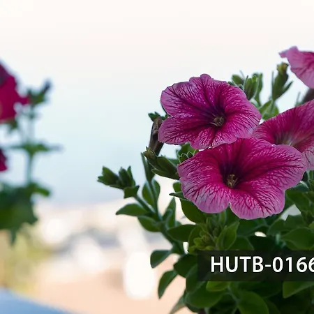 Beach Aiguadolc's 아파트 시체스